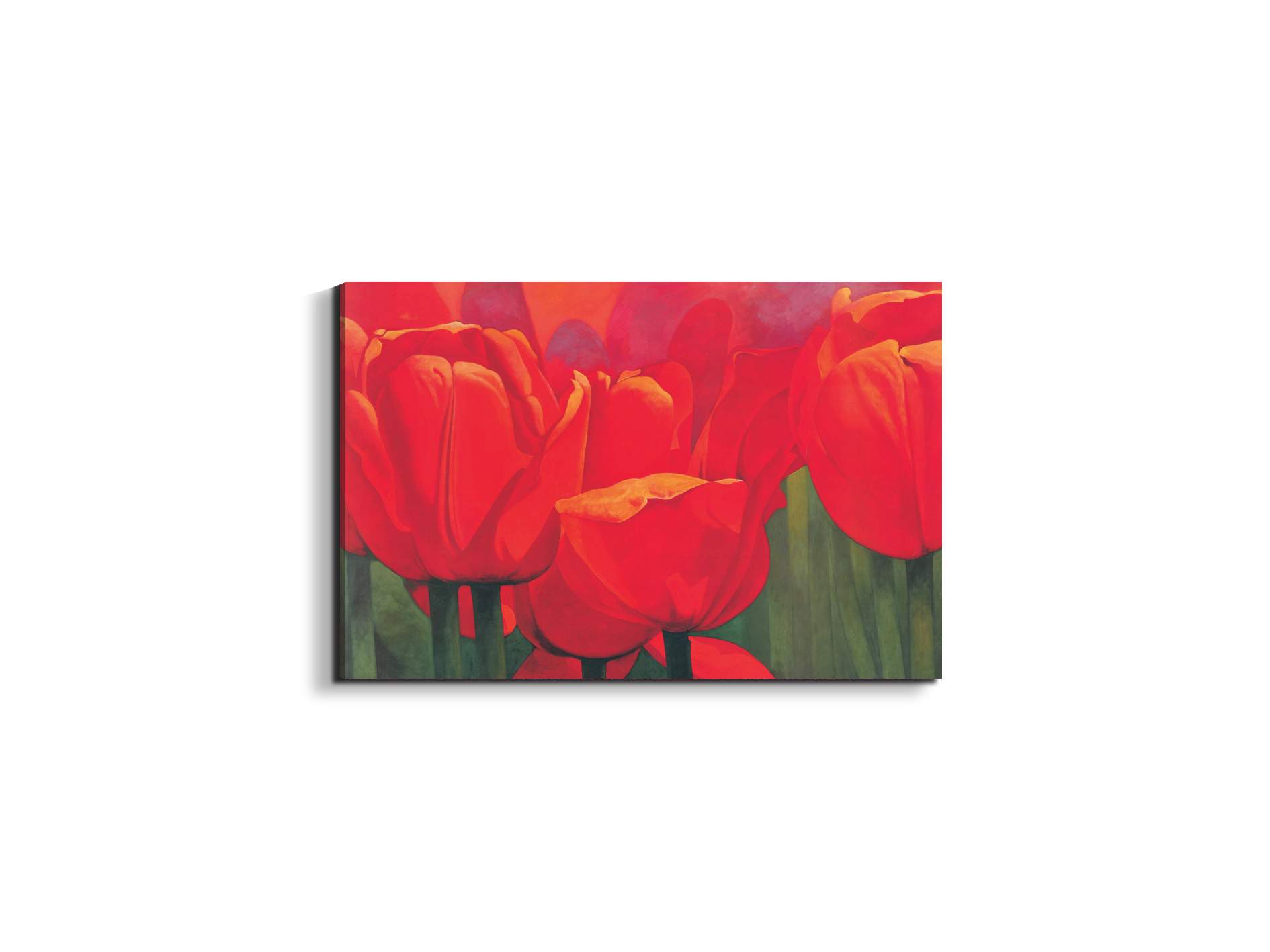 red-tulips-iec18694-#materiale_EarthArt Materic/dimensioni_50x33,33