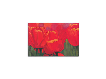 red-tulips-iec18694-