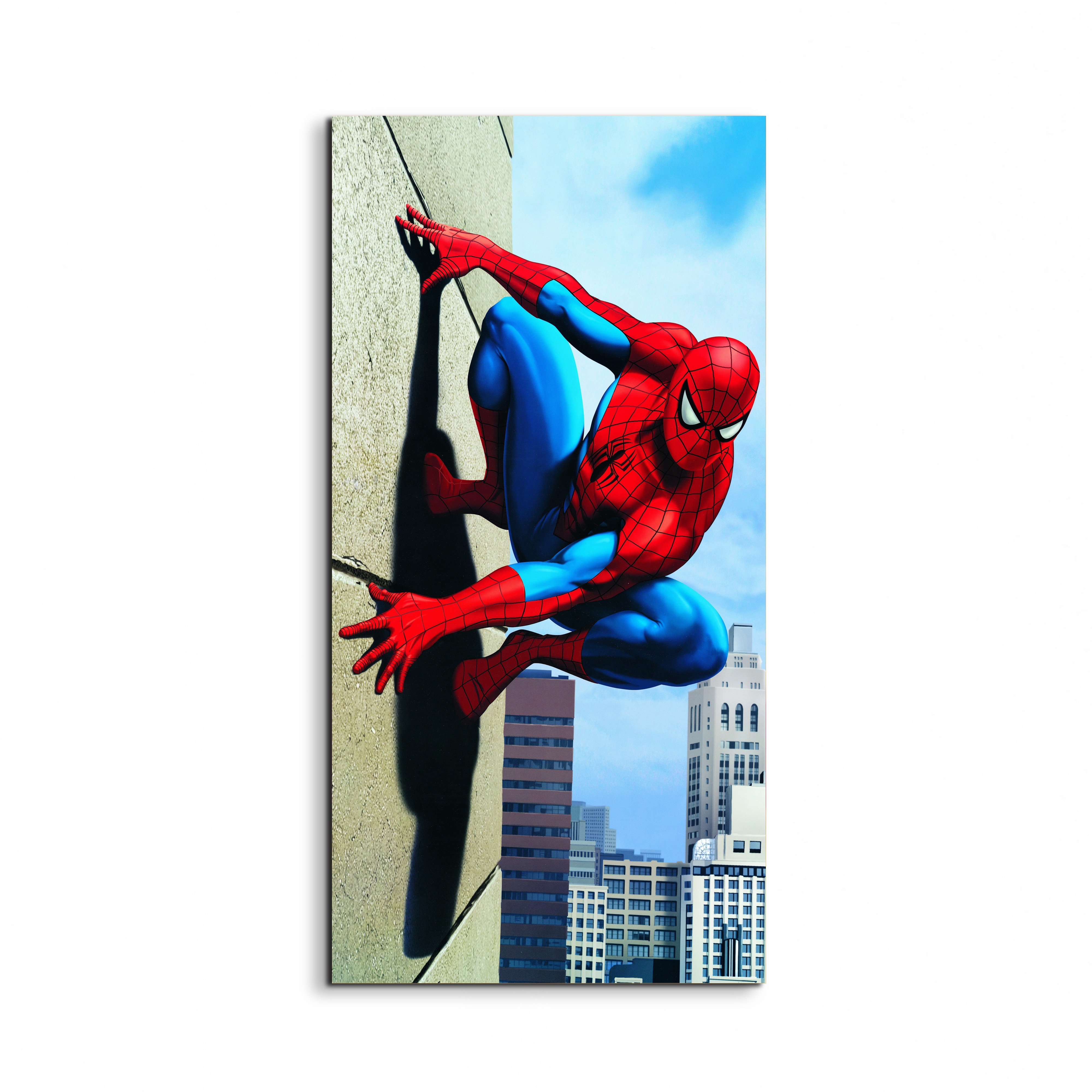 comics-spiderman-skyscraperec18737-#materiale_EarthArt/dimensioni_50x100