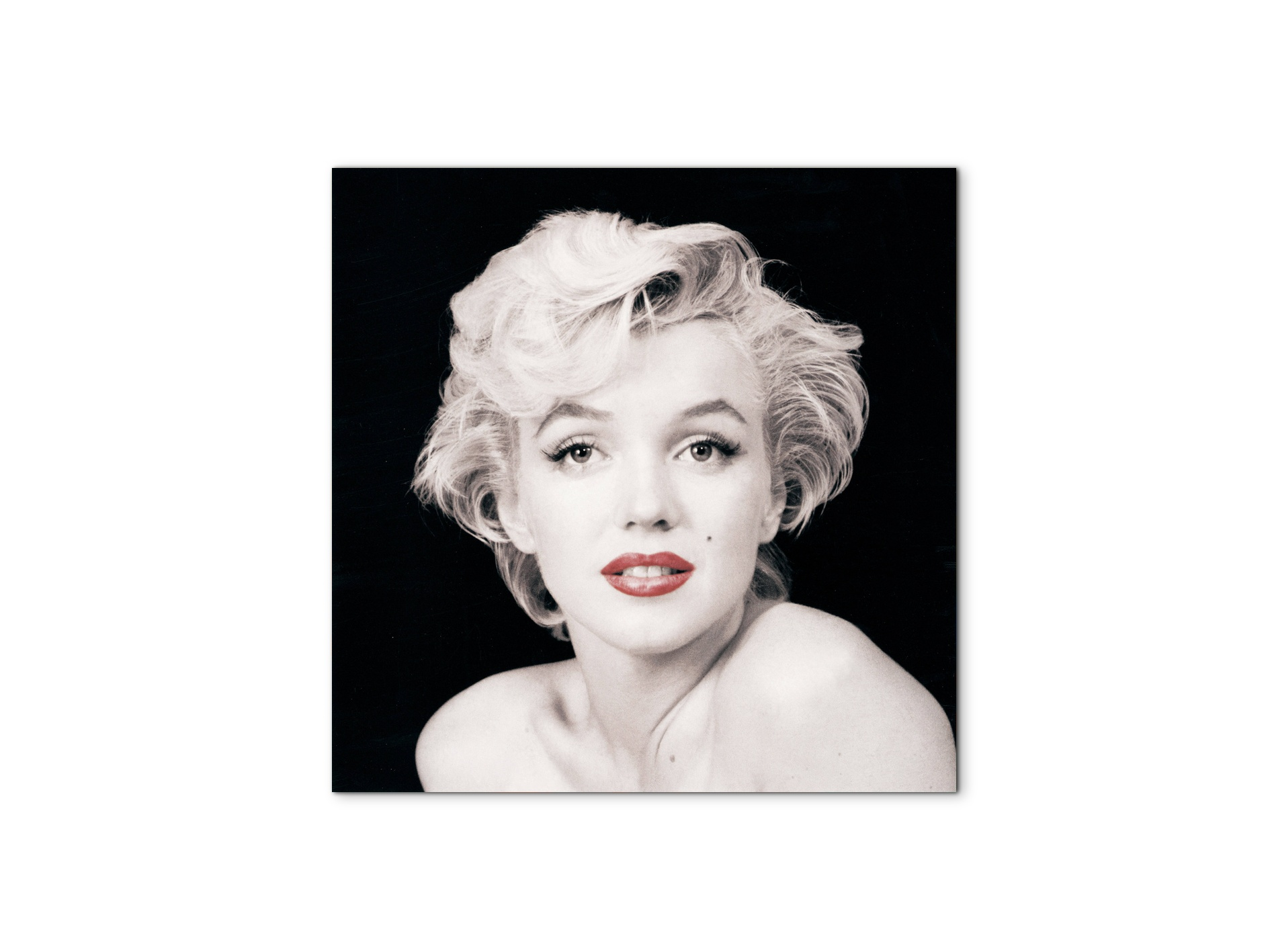 homage-to-marilyn-22ec18958-