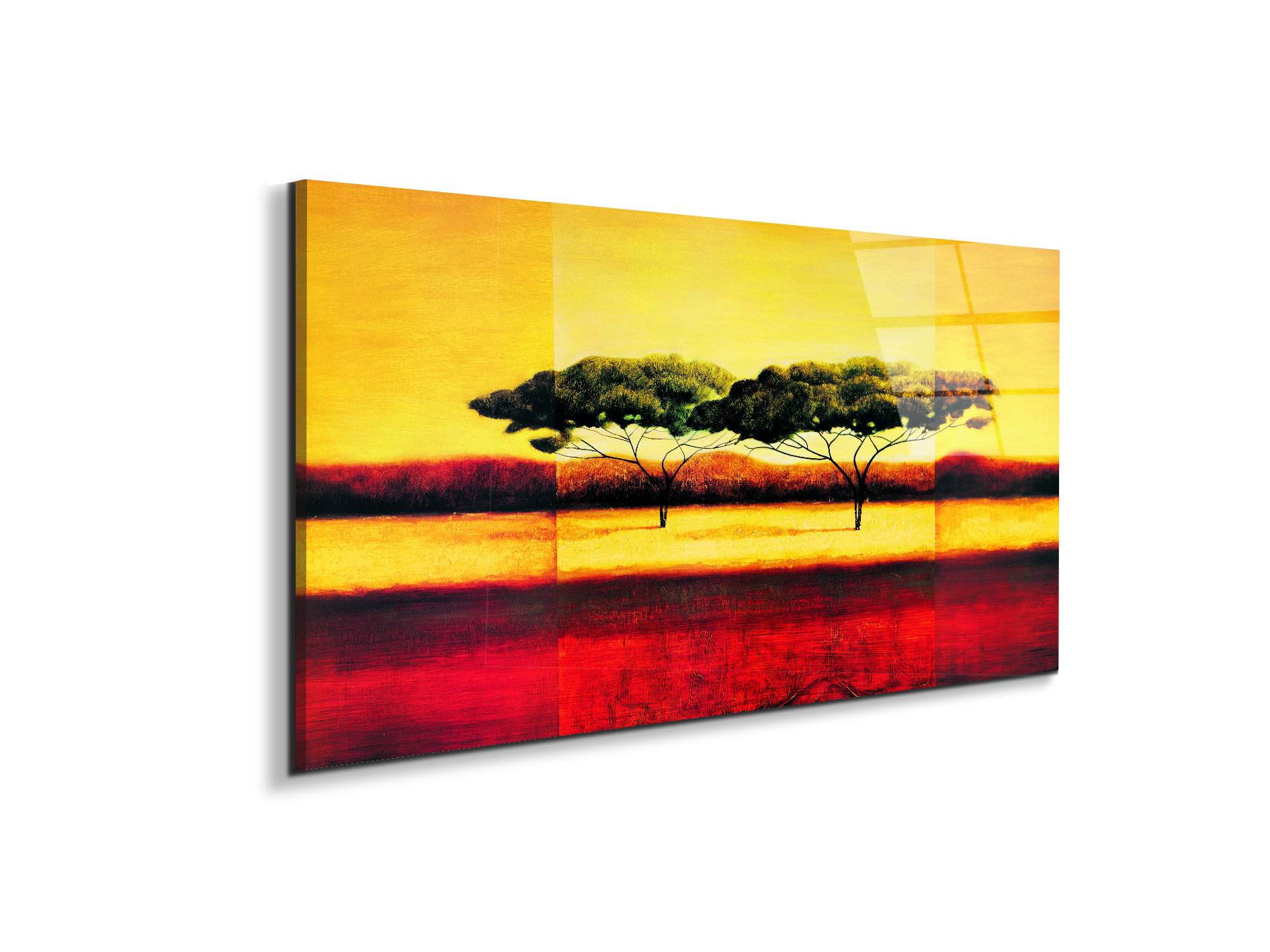 trees-in-kenyaec19376-