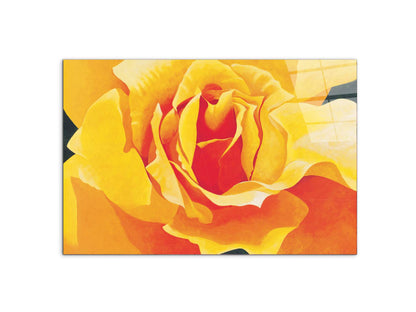 yellow-roseec20316-