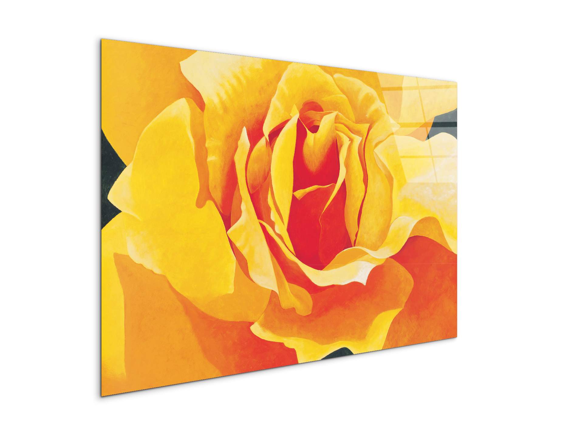 yellow-roseec20316-