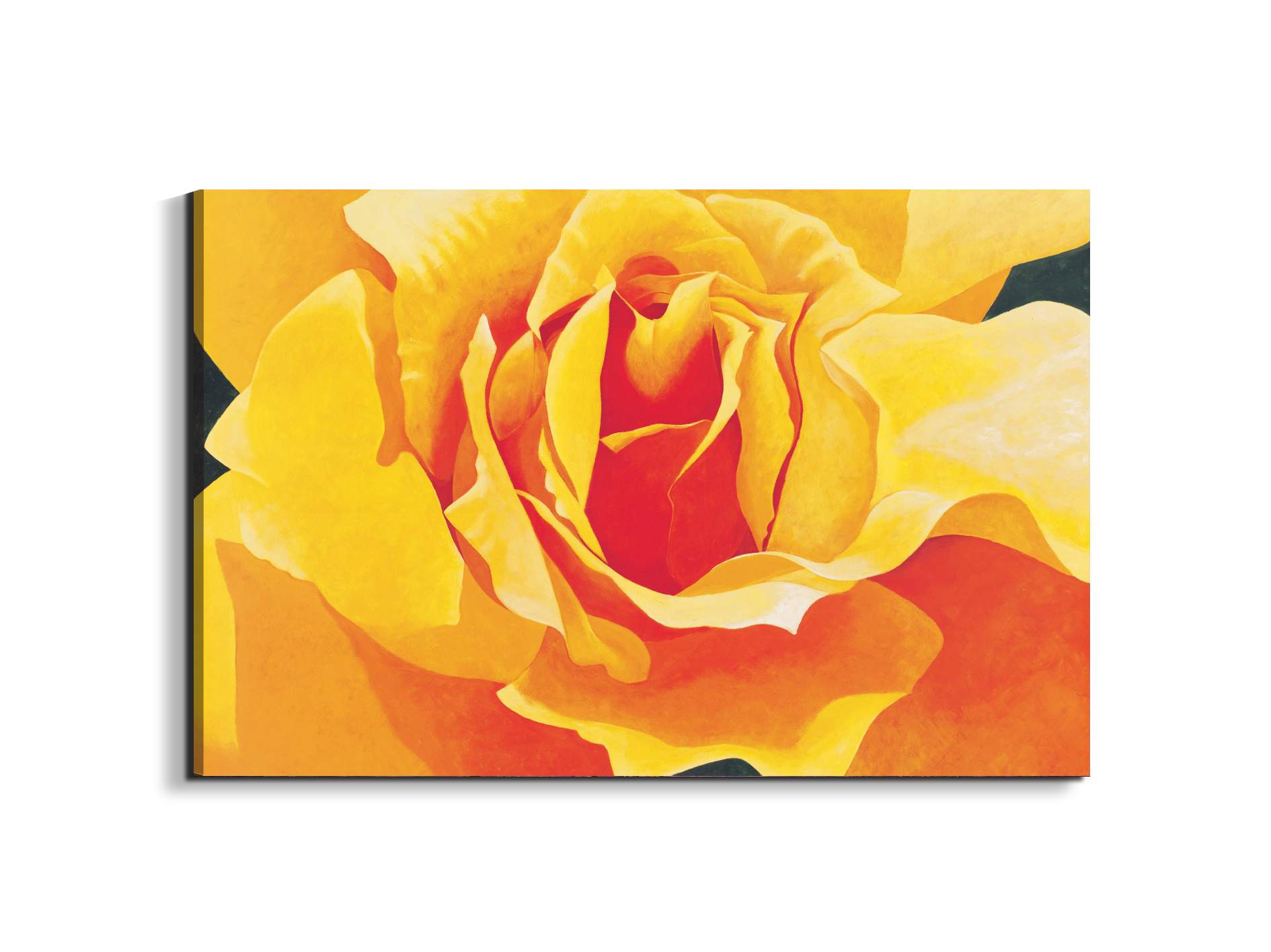 yellow-roseec20316-#materiale_EarthArt/dimensioni_79,5x53