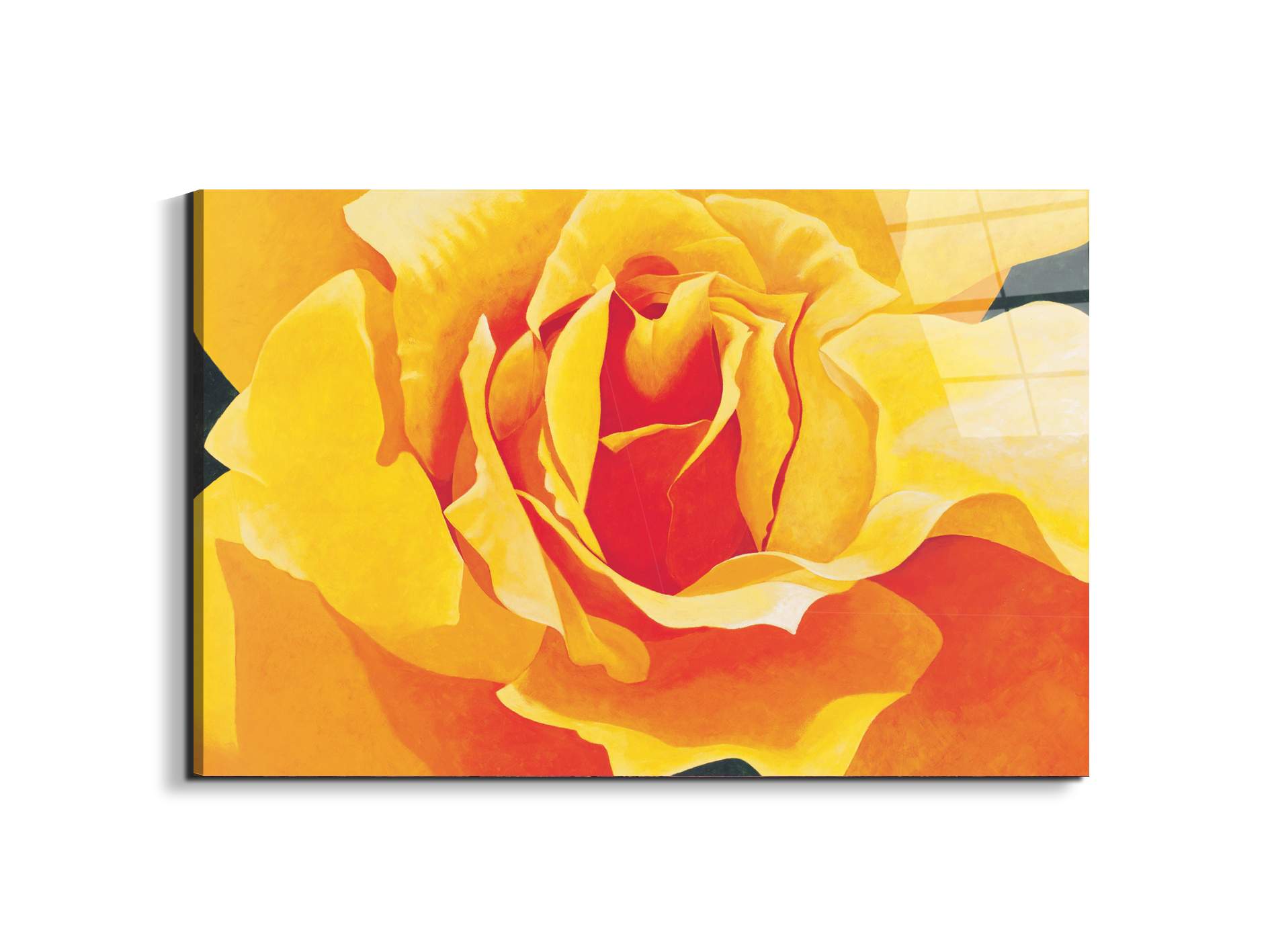 yellow-roseec20316-