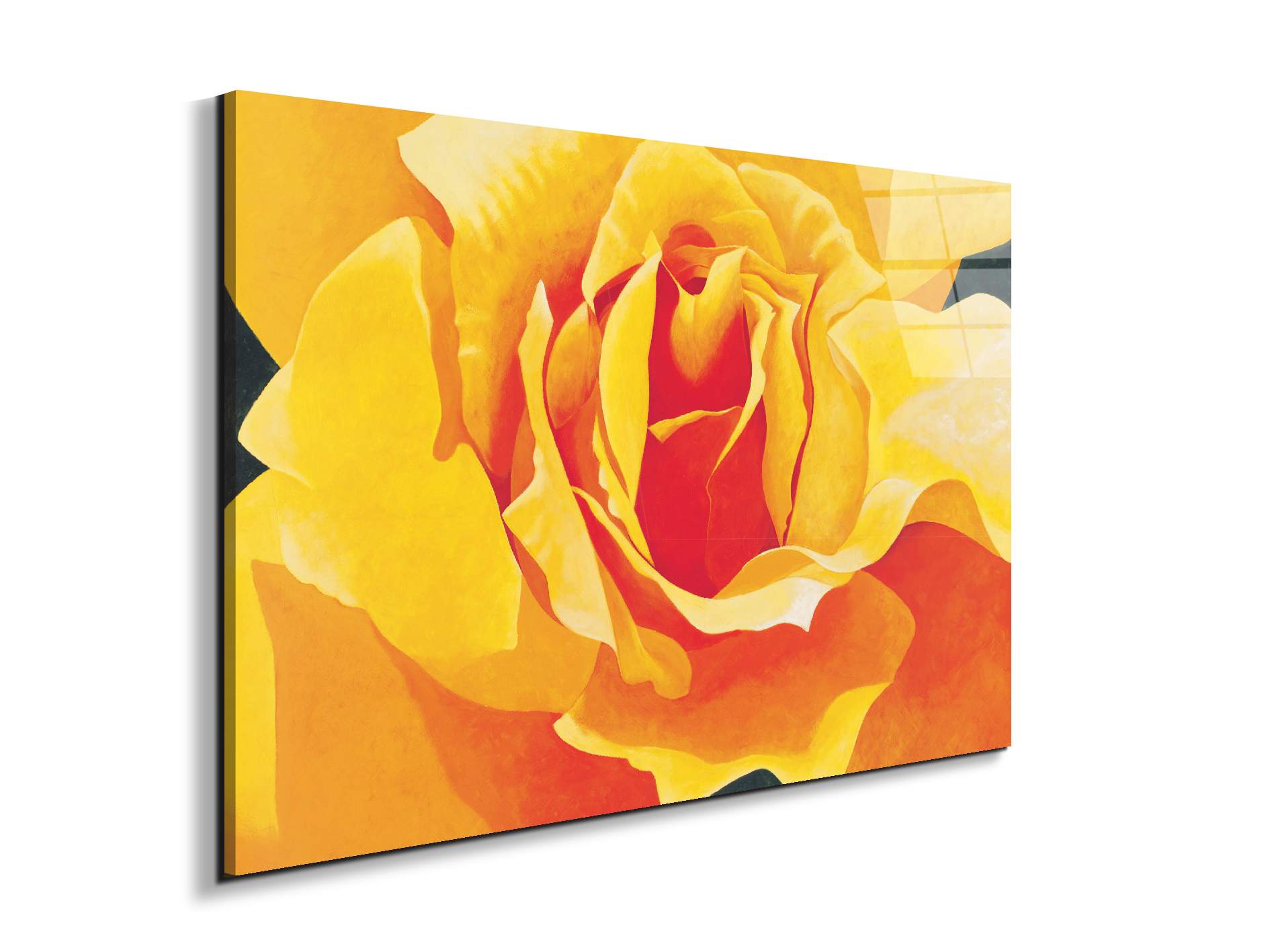 yellow-roseec20316-