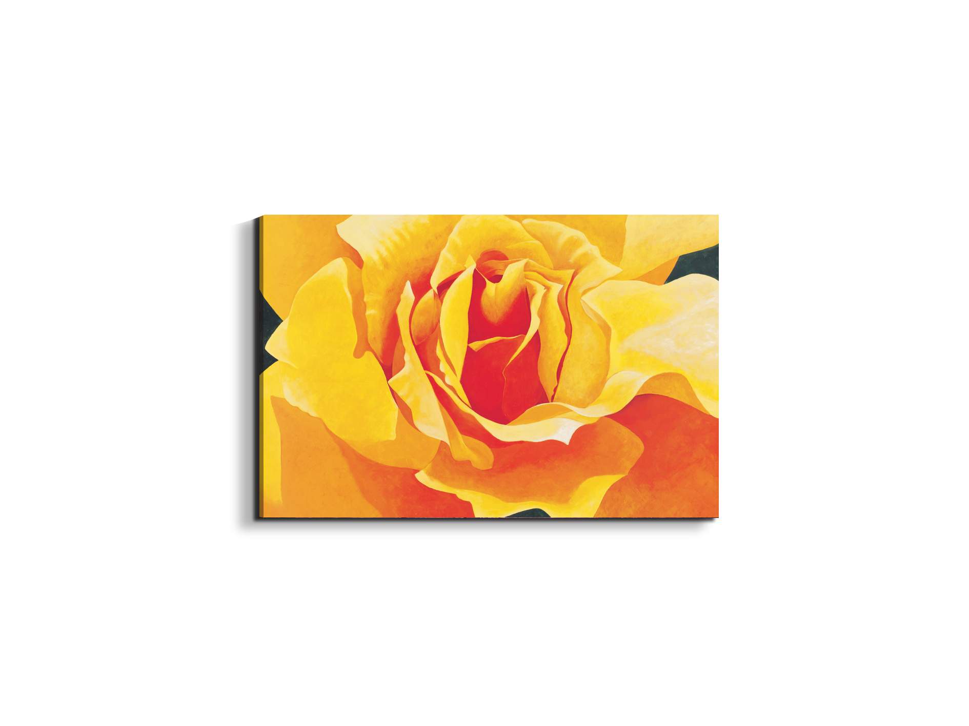 yellow-roseec20316-#materiale_EarthArt/dimensioni_50x33,33
