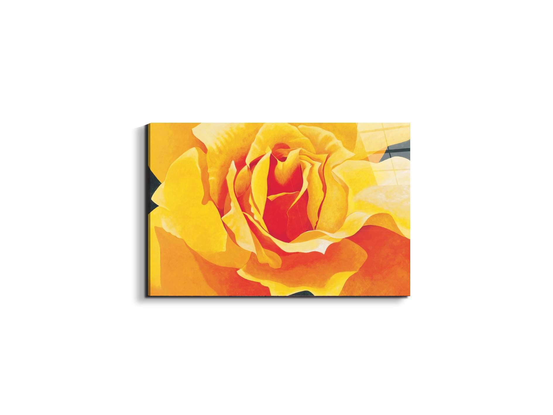 yellow-roseec20316-