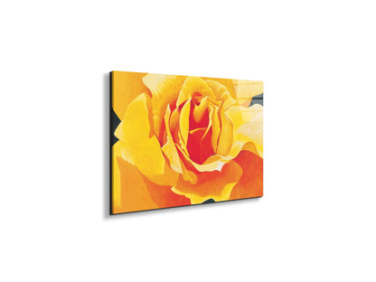 yellow-roseec20316-