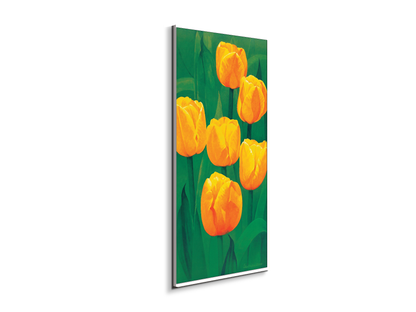 yellow-tulipsec20317-