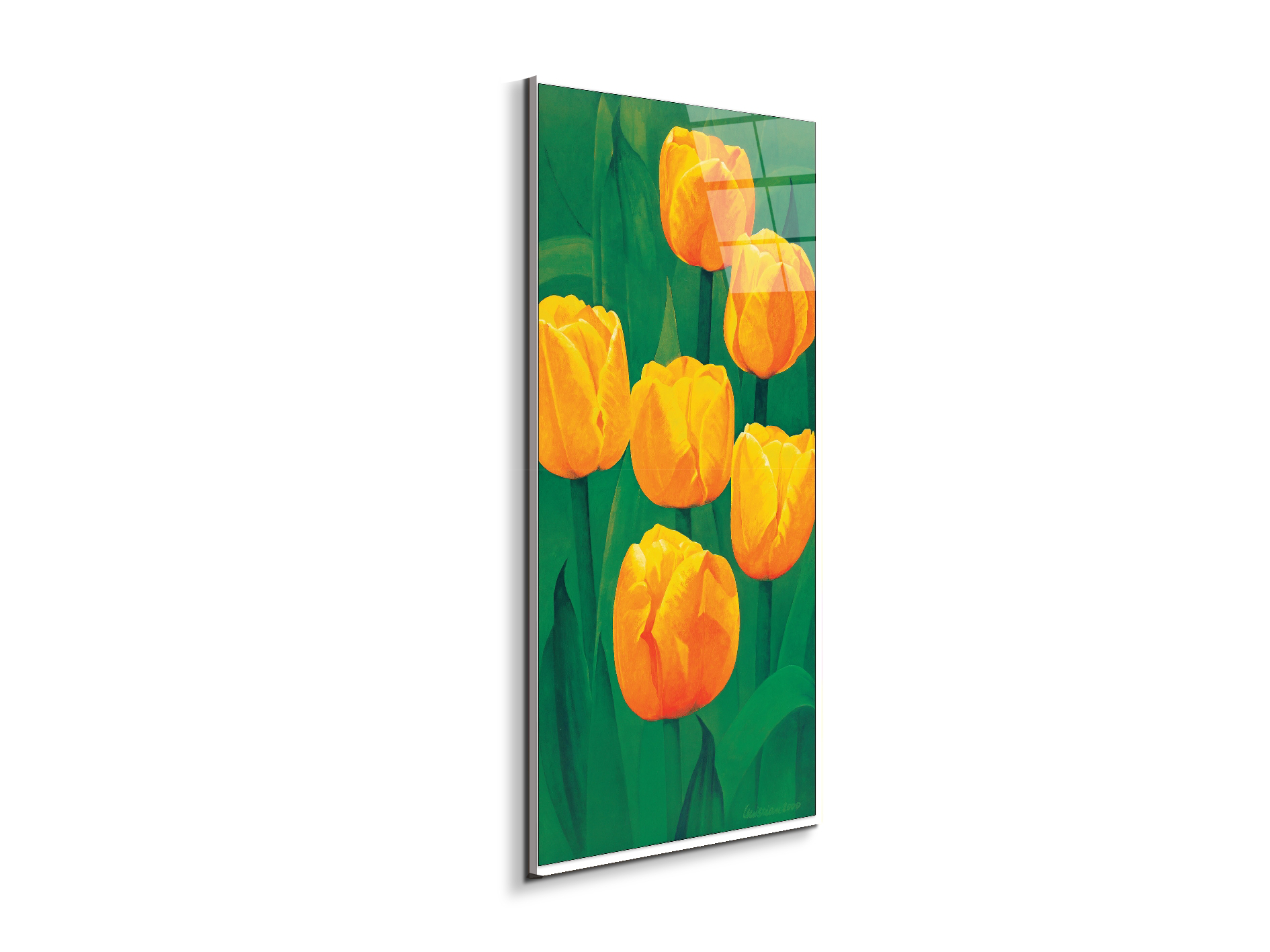 yellow-tulipsec20317-
