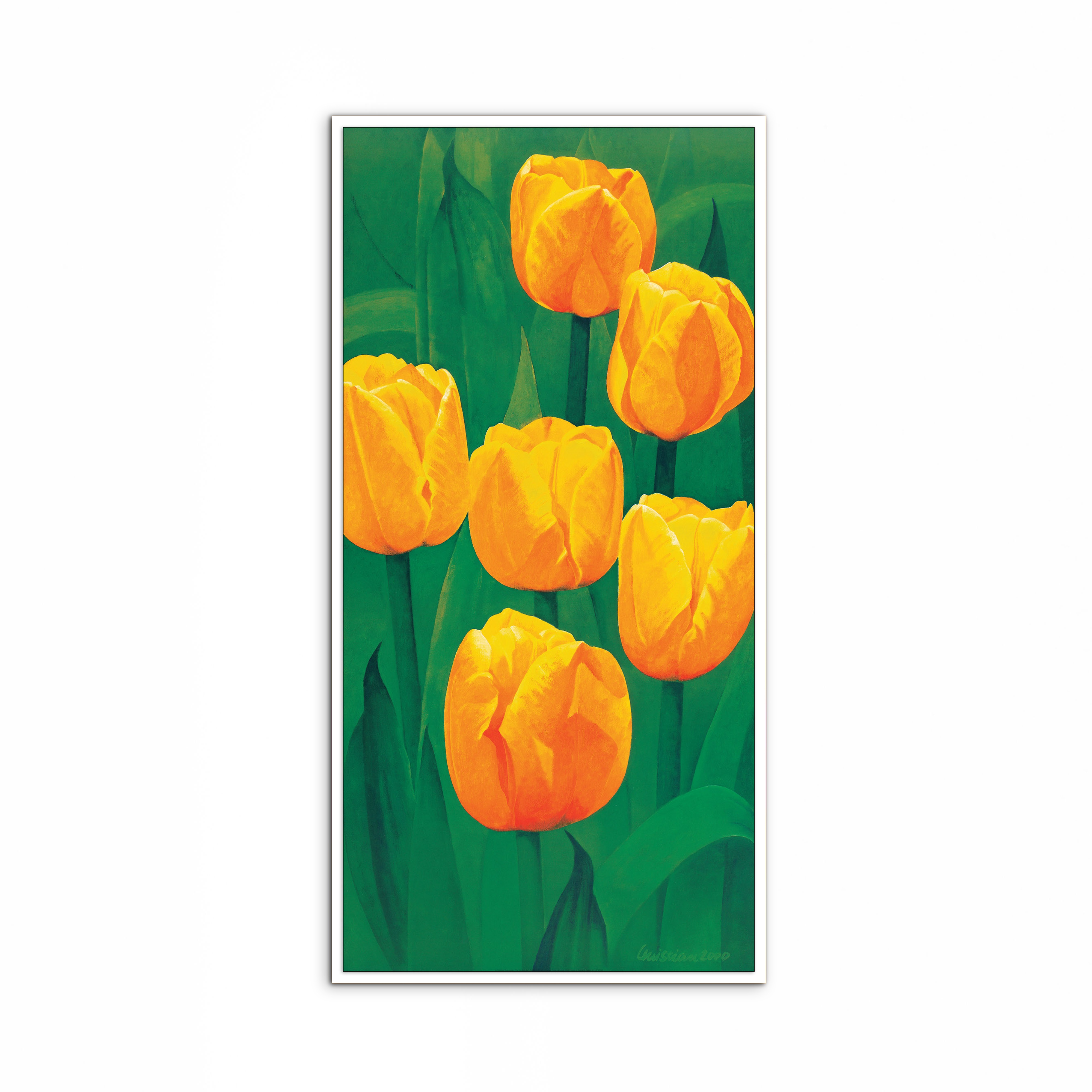 yellow-tulipsec20317-