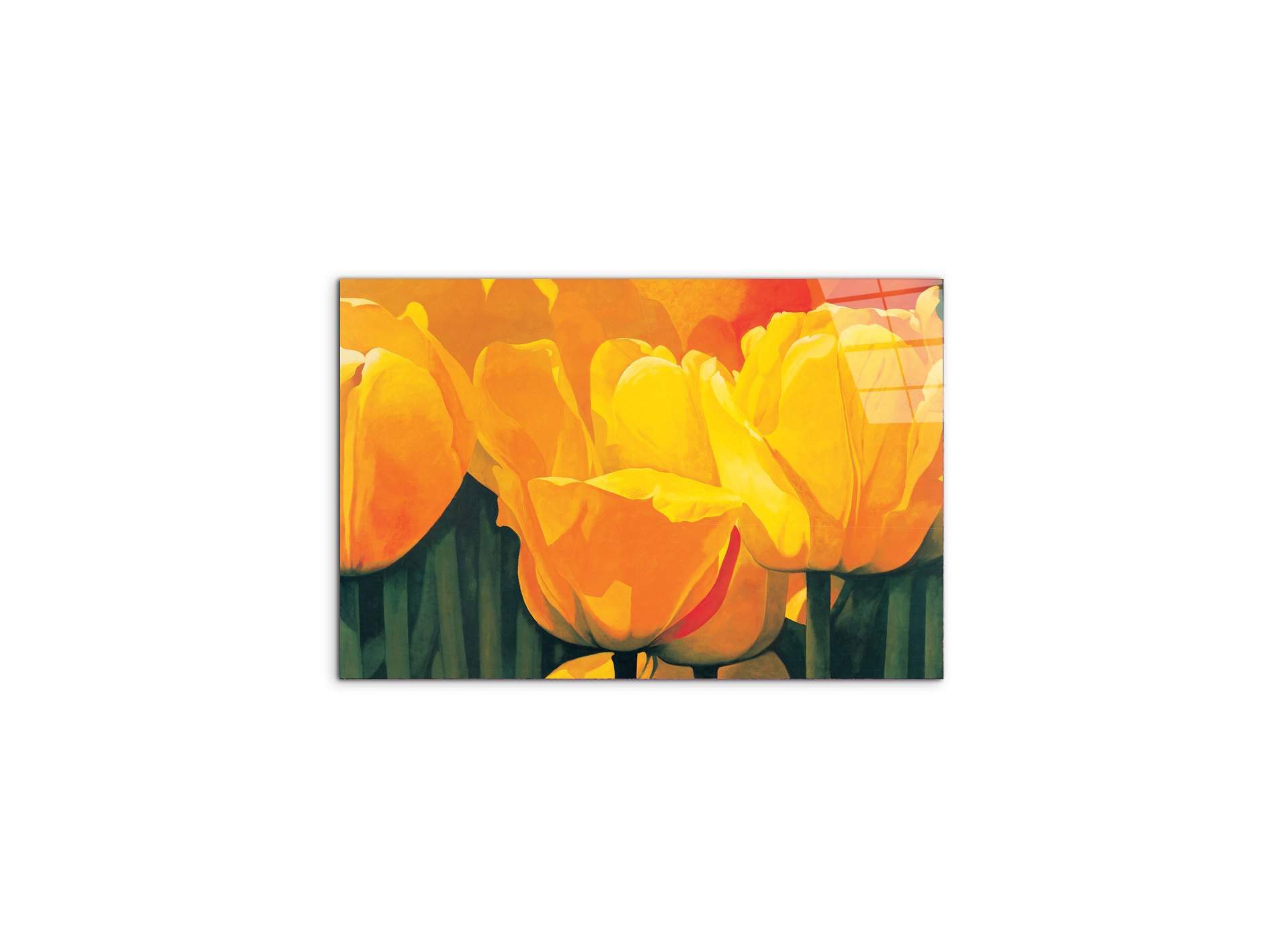 yellow-tulips-iec20318-#materiale_CrystalArt/dimensioni_50x33,33