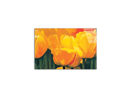 yellow-tulips-iec20318-