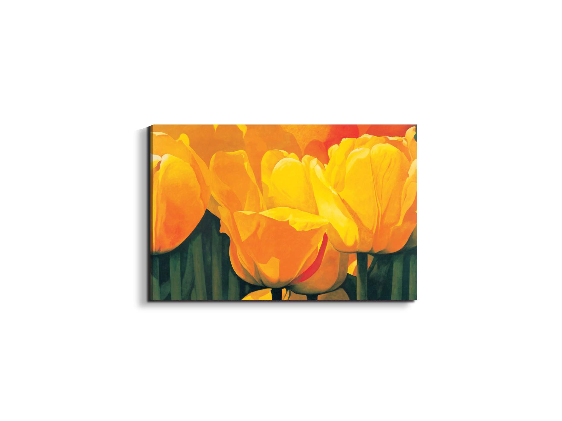 yellow-tulips-iec20318-#materiale_EarthArt/dimensioni_50x33,33