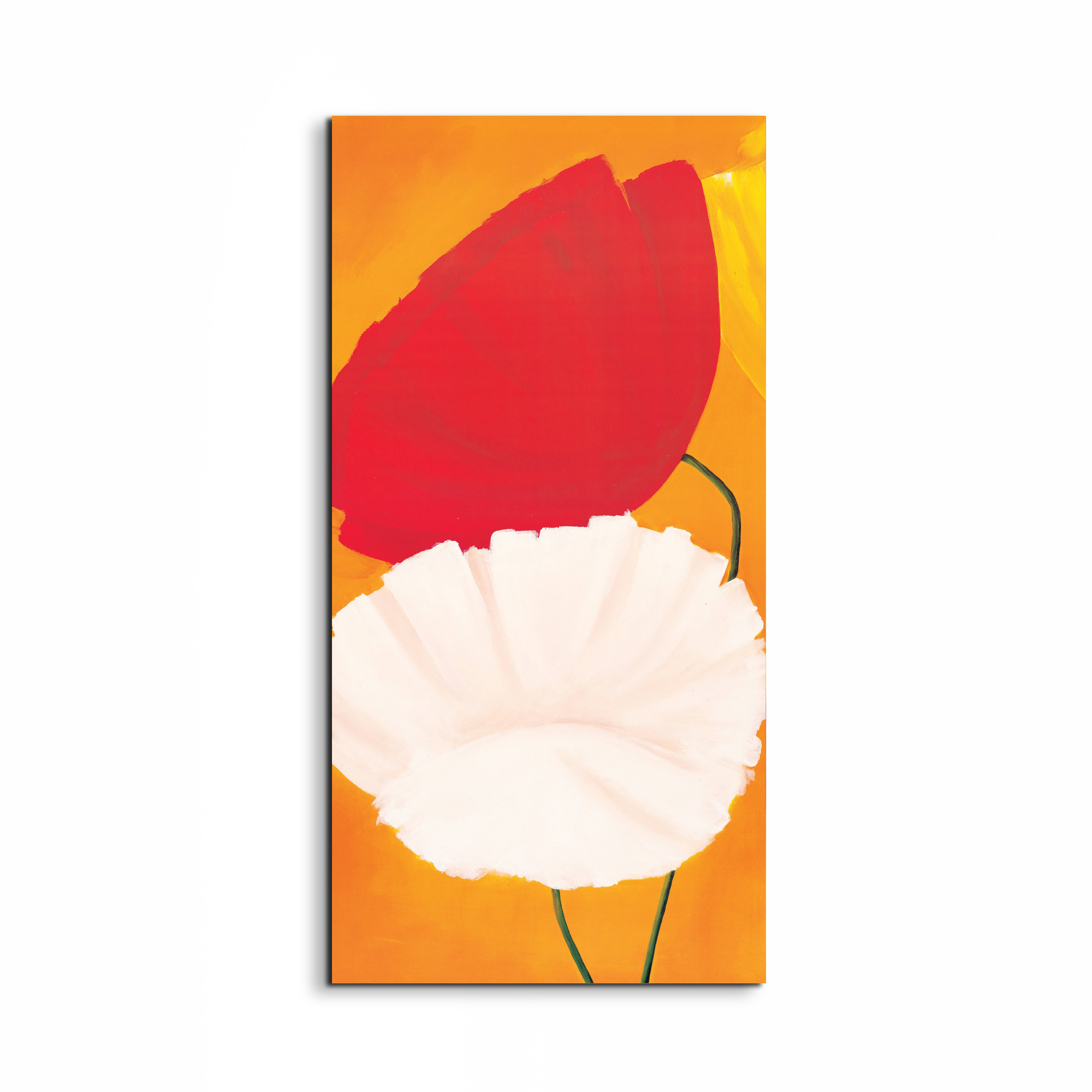 poppies-red-white-flowersec20354-#materiale_EarthArt/dimensioni_50x100