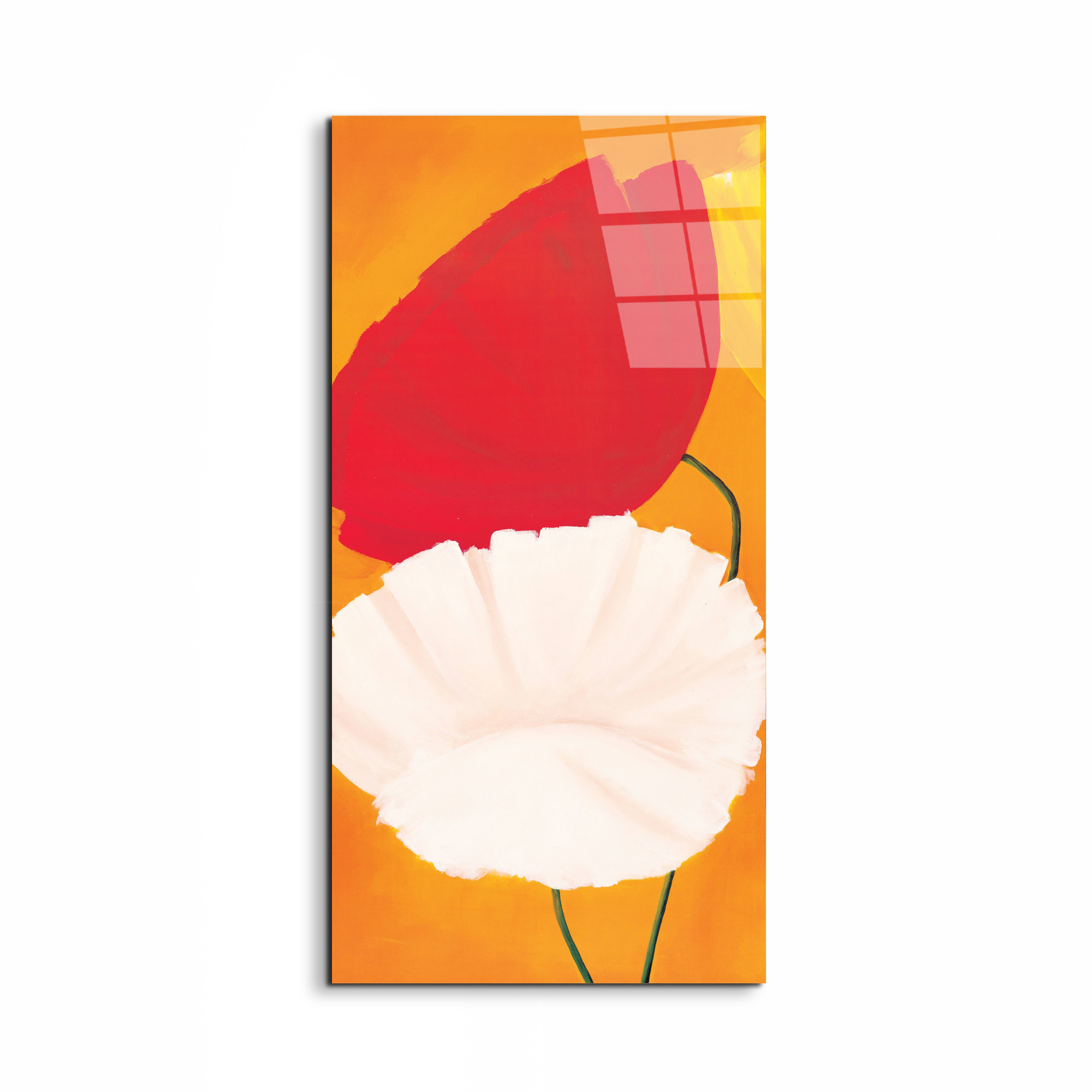 poppies-red-white-flowersec20354-