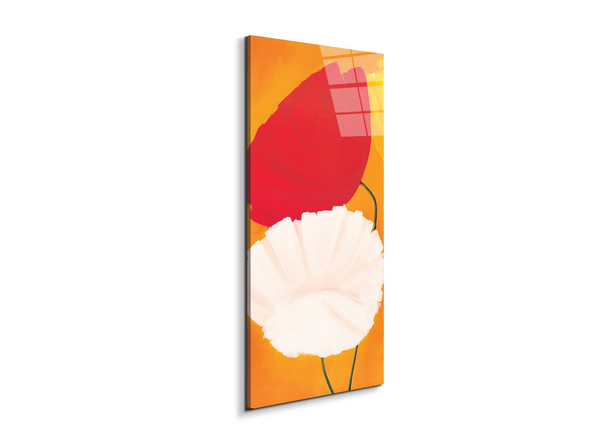 poppies-red-white-flowersec20354-