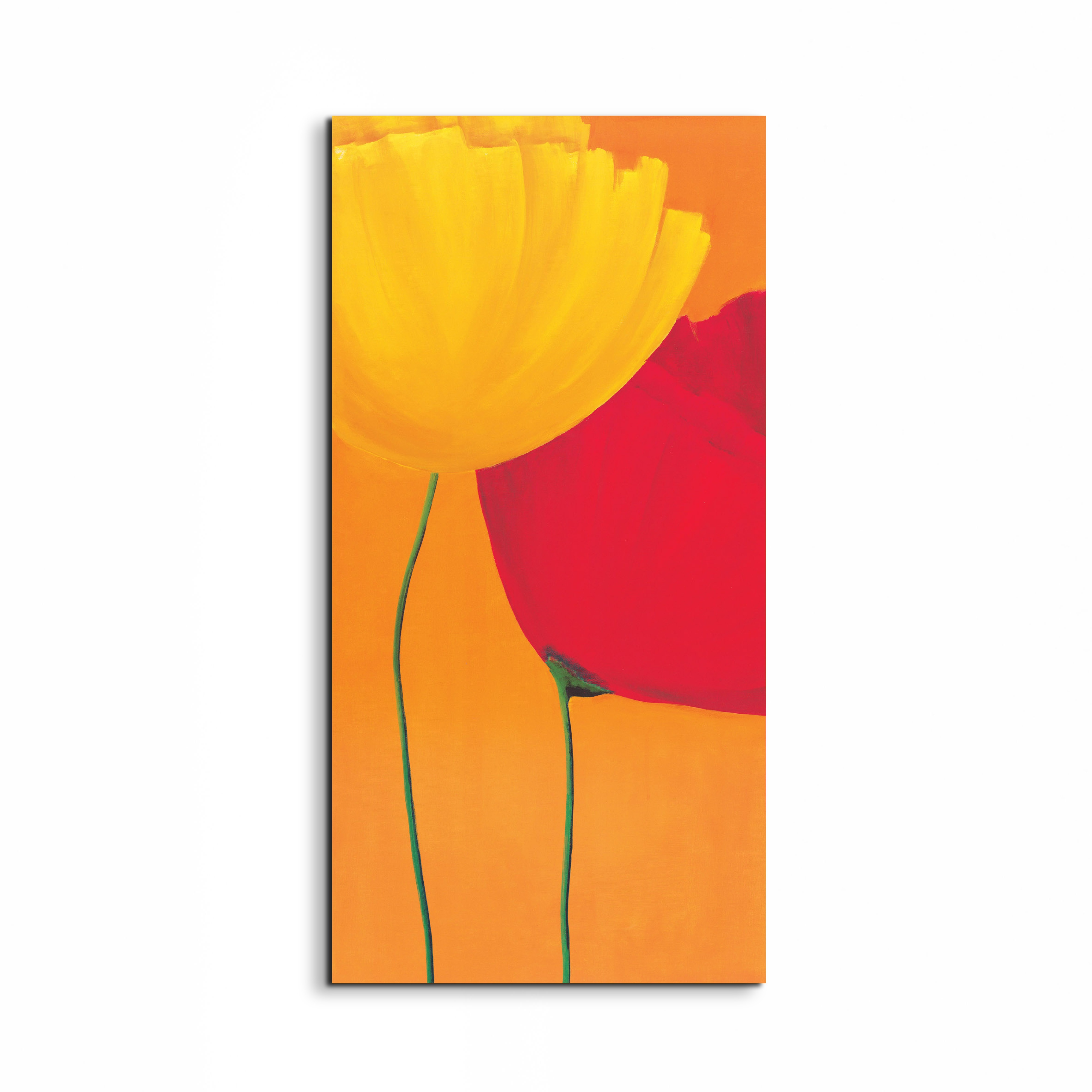 poppies-orangeec20355-#materiale_EarthArt/dimensioni_50x100