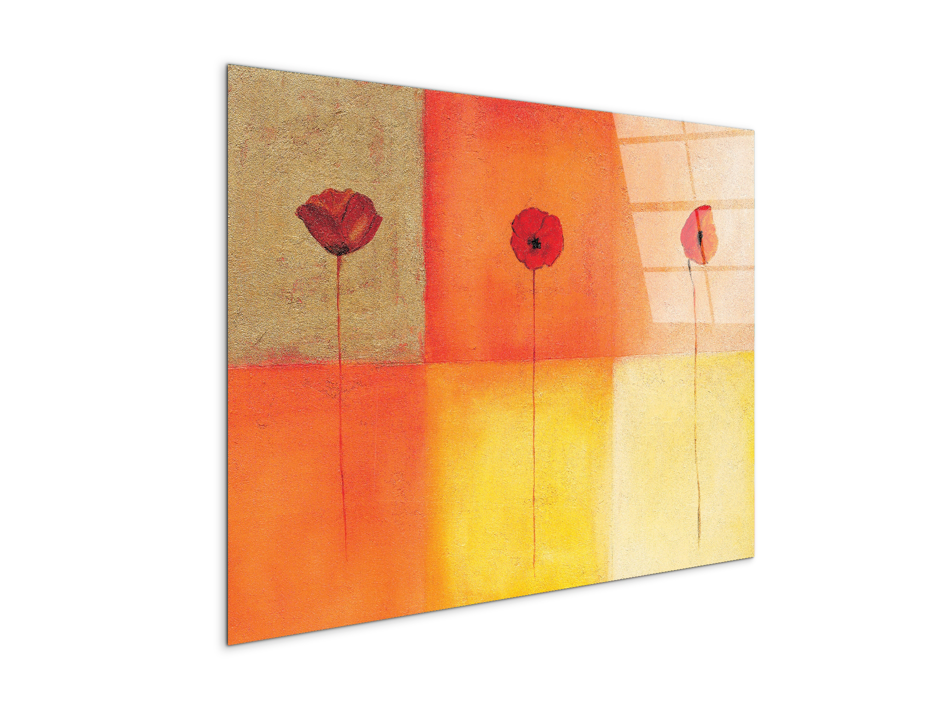 poppies-squaresec20430-
