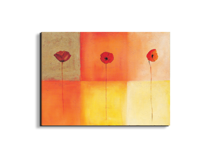 poppies-squaresec20430-