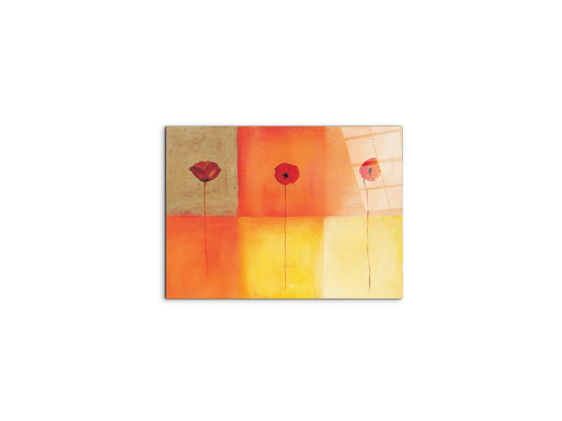 poppies-squaresec20430-#materiale_CrystalArt/dimensioni_50x37,42