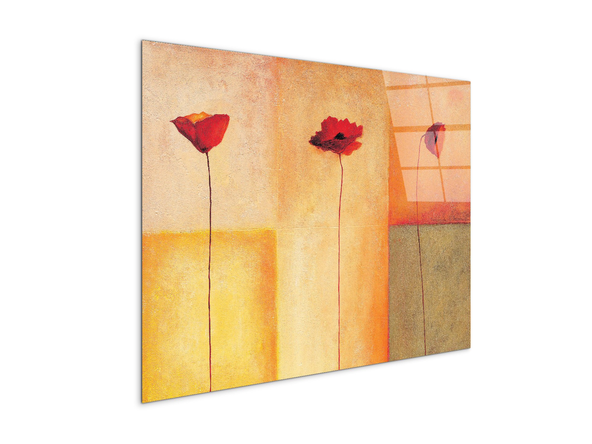 poppies-lifeec20431-