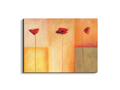 poppies-lifeec20431-