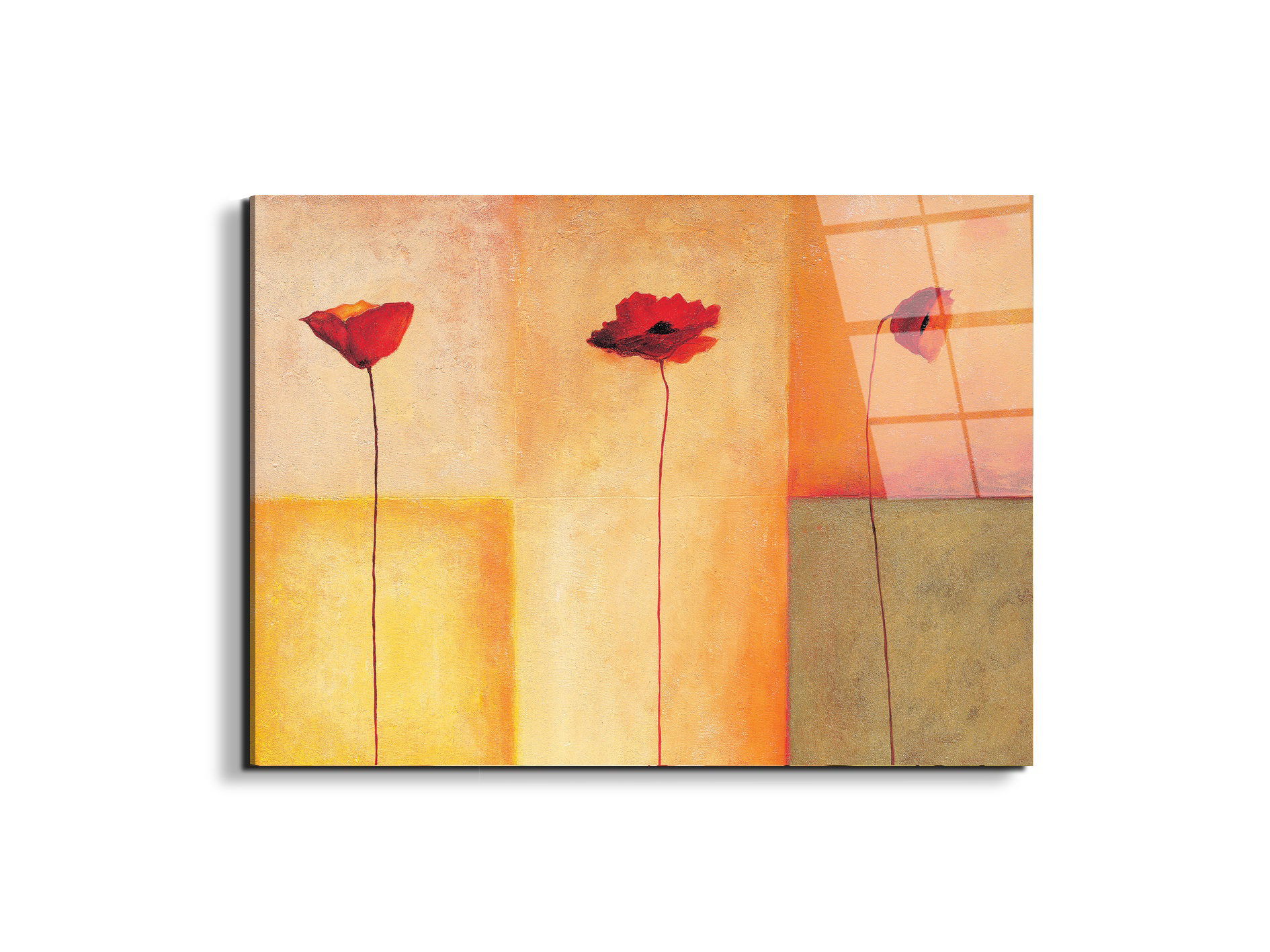 poppies-lifeec20431-