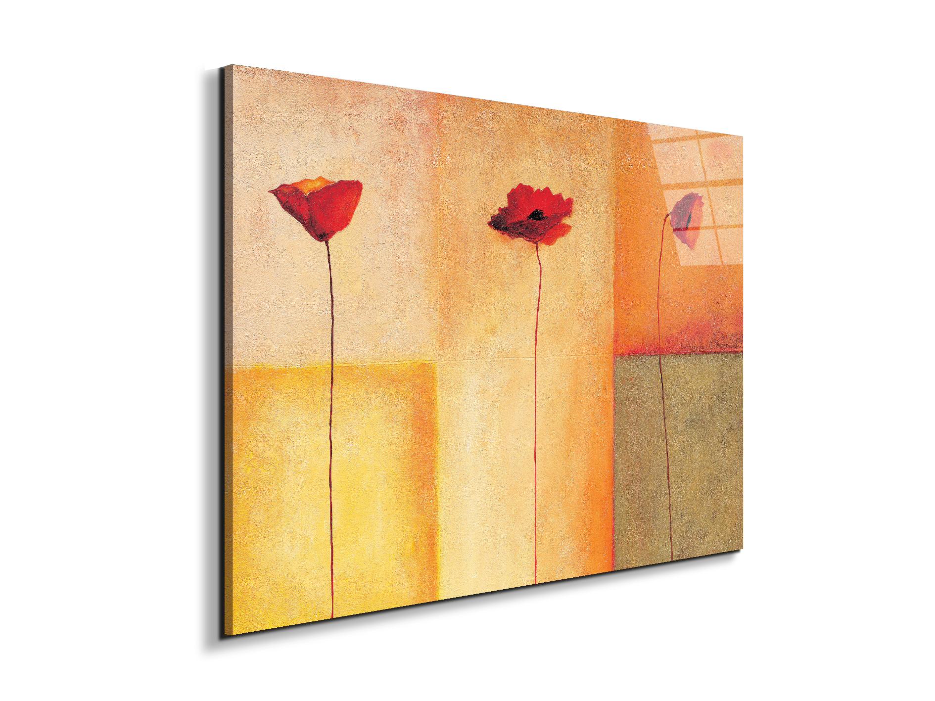 poppies-lifeec20431-