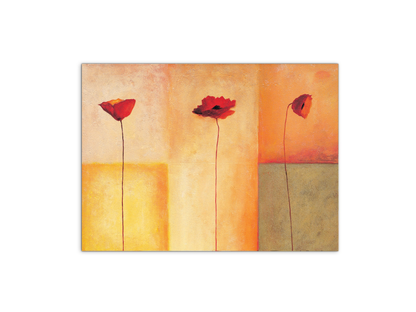 poppies-lifeec20431-