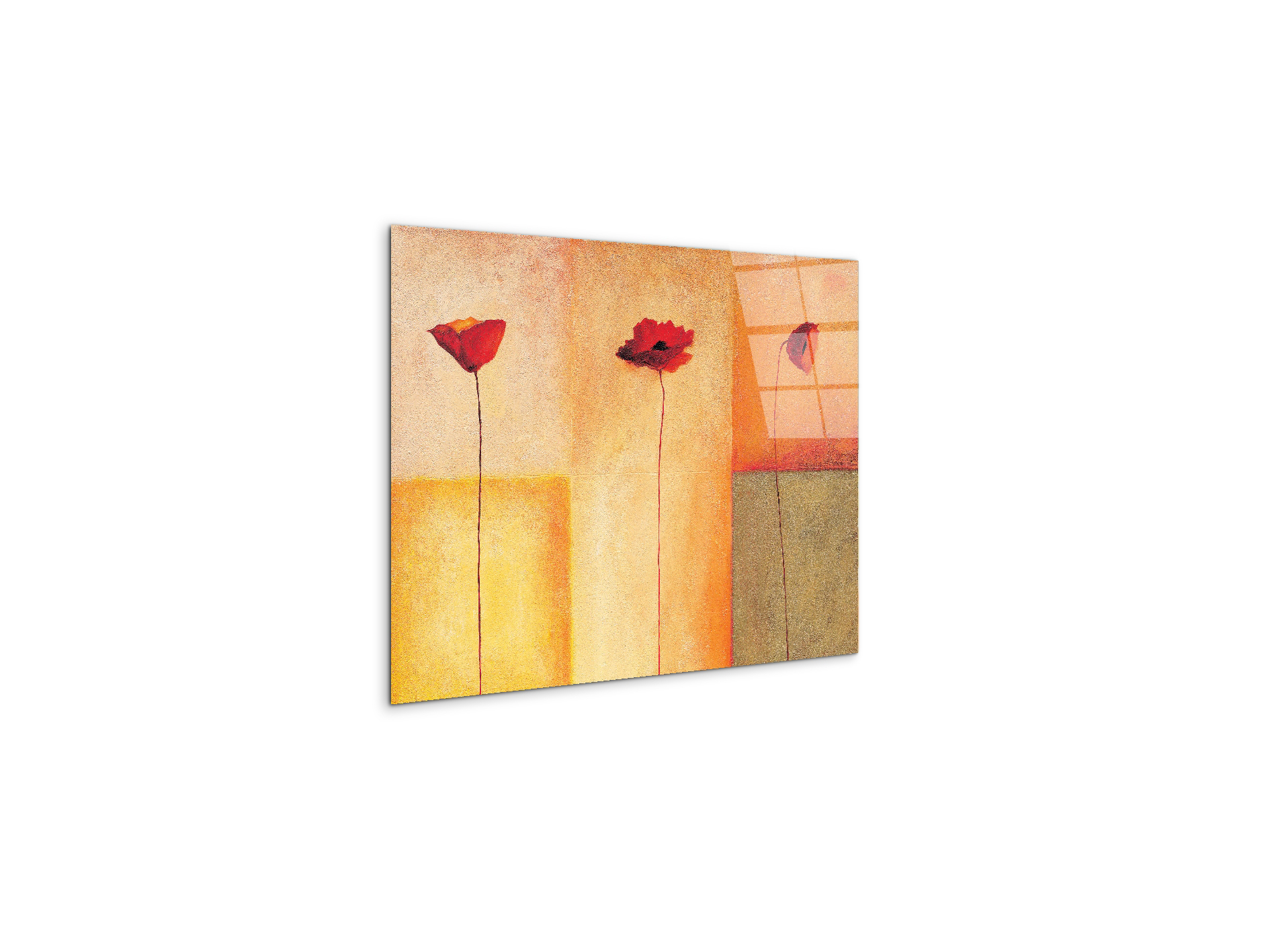 poppies-lifeec20431-