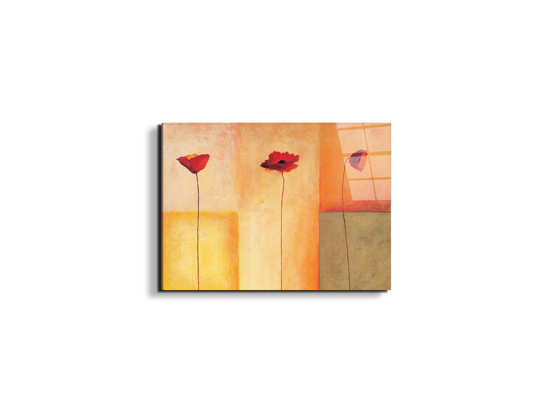 poppies-lifeec20431-