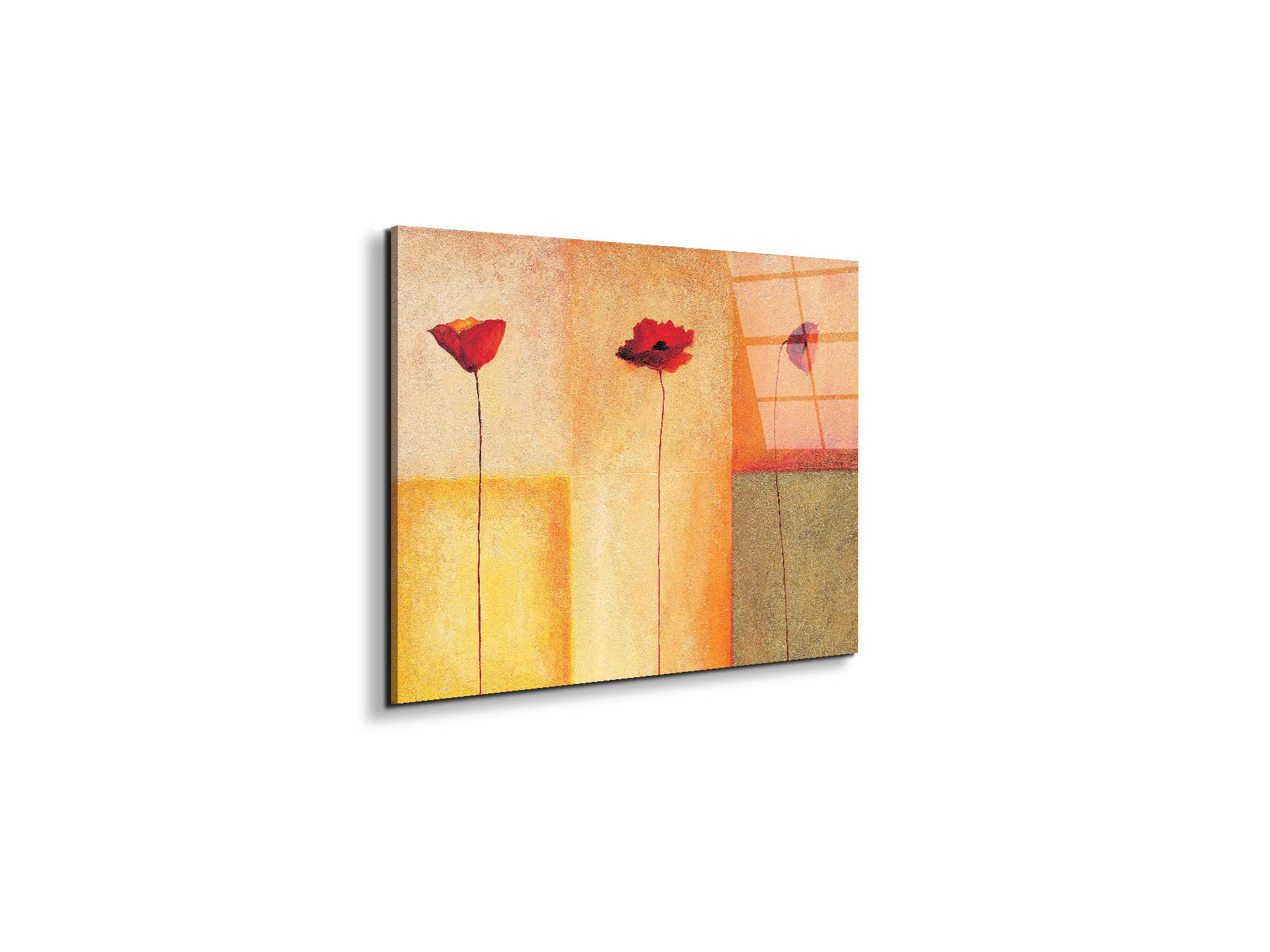 poppies-lifeec20431-