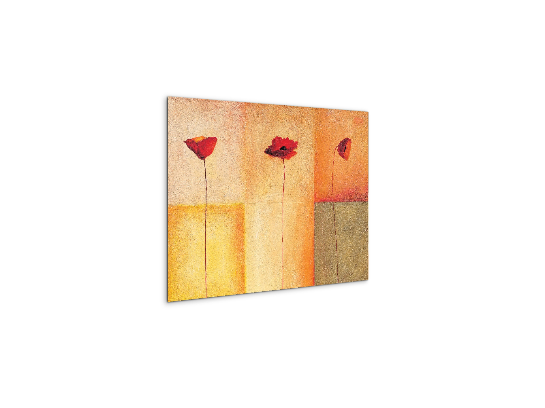 poppies-lifeec20431-