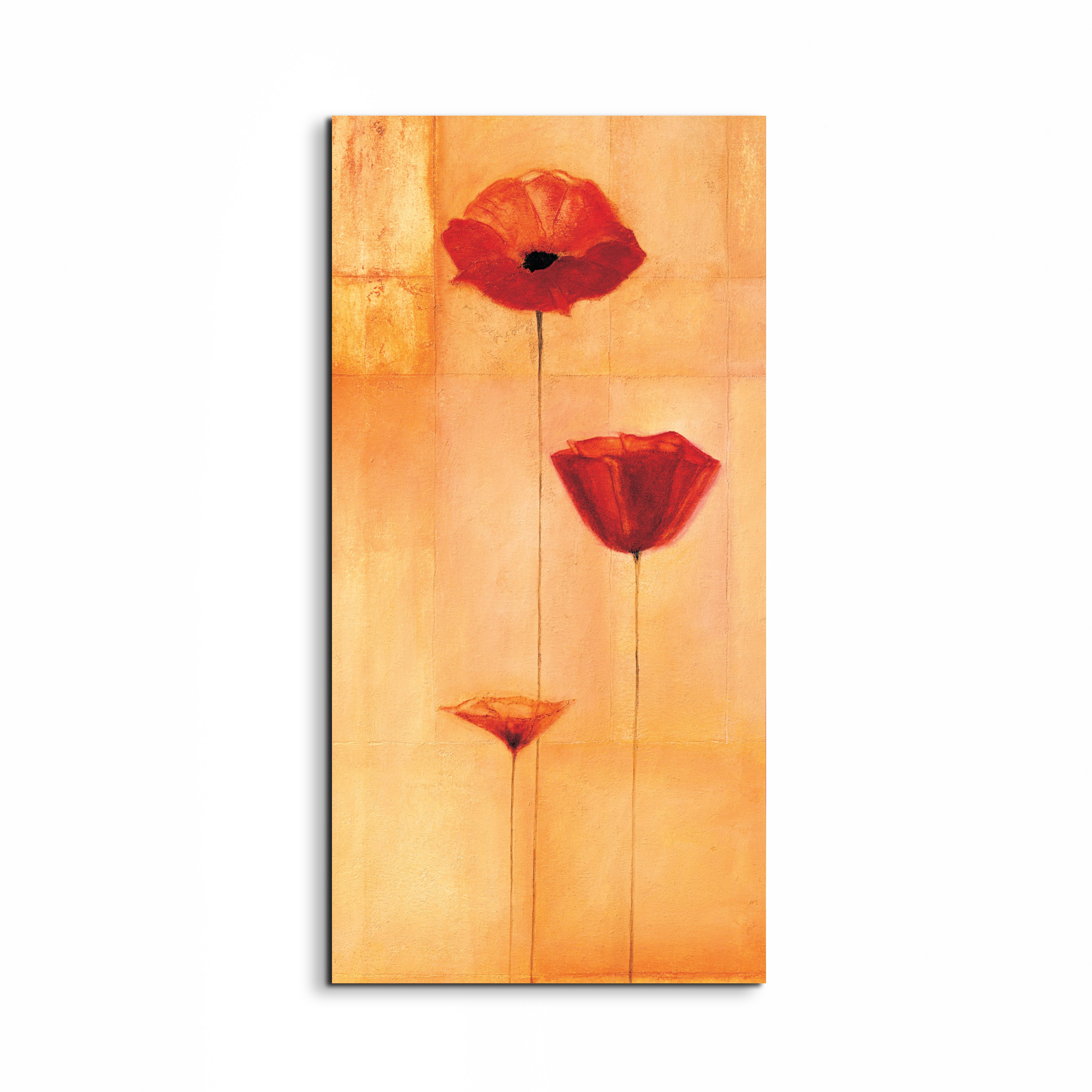 poppies-tall-and-slimec20433-#materiale_EarthArt/dimensioni_50x100