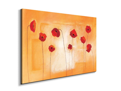 red-poppies-ivec20434-