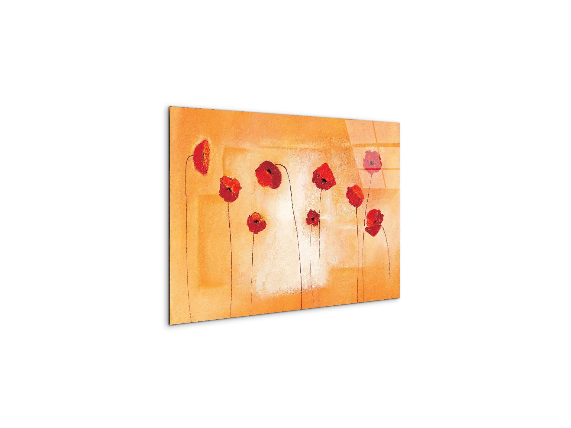 red-poppies-ivec20434-