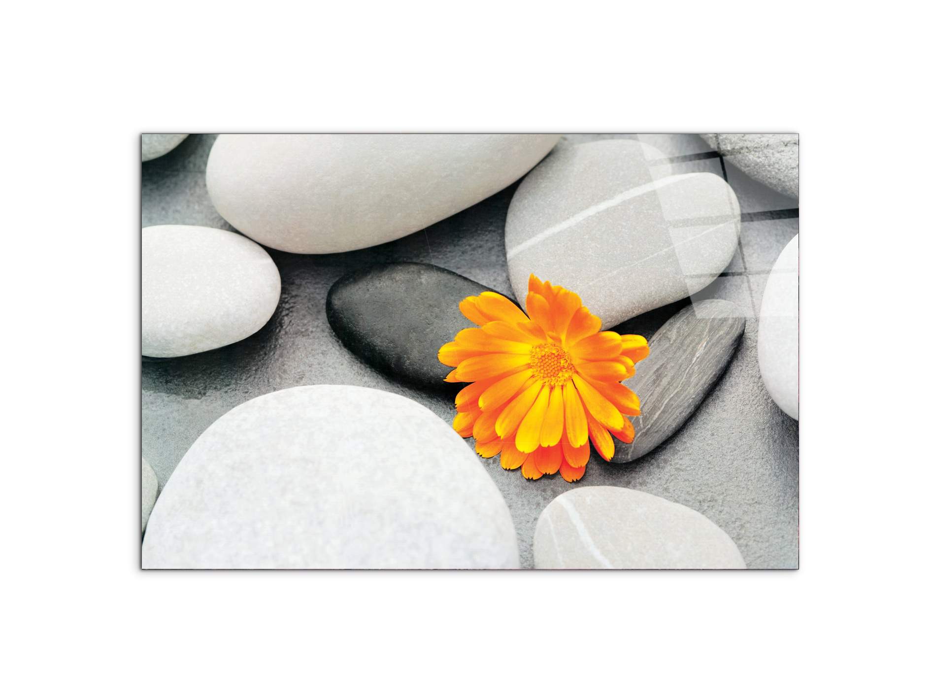 stonesec20500-#materiale_CrystalArt/dimensioni_79,5x53
