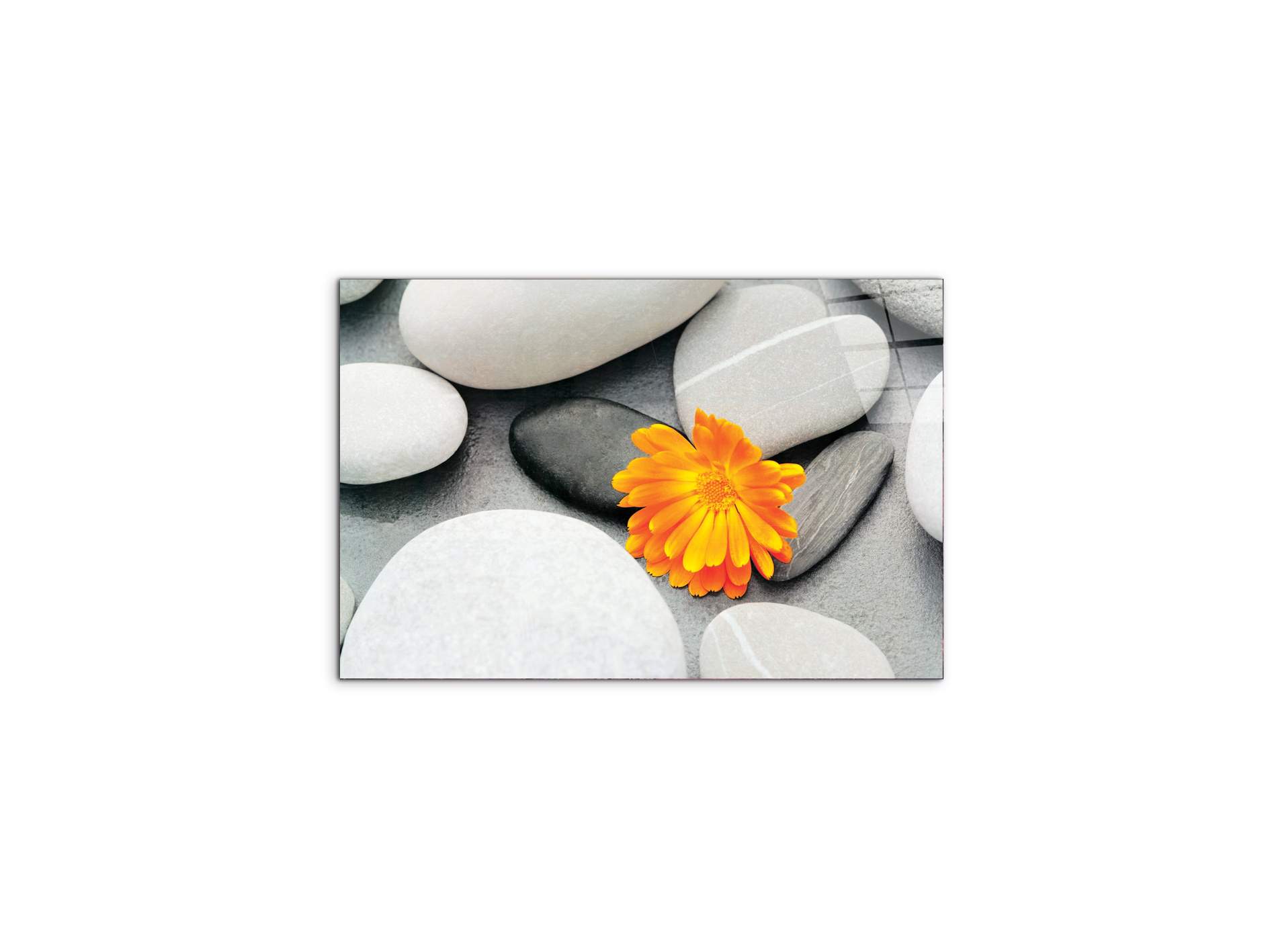 stonesec20500-#materiale_CrystalArt/dimensioni_50x33,33
