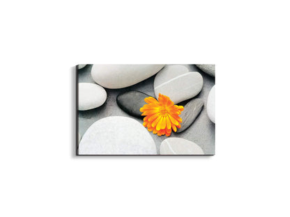 stonesec20500-