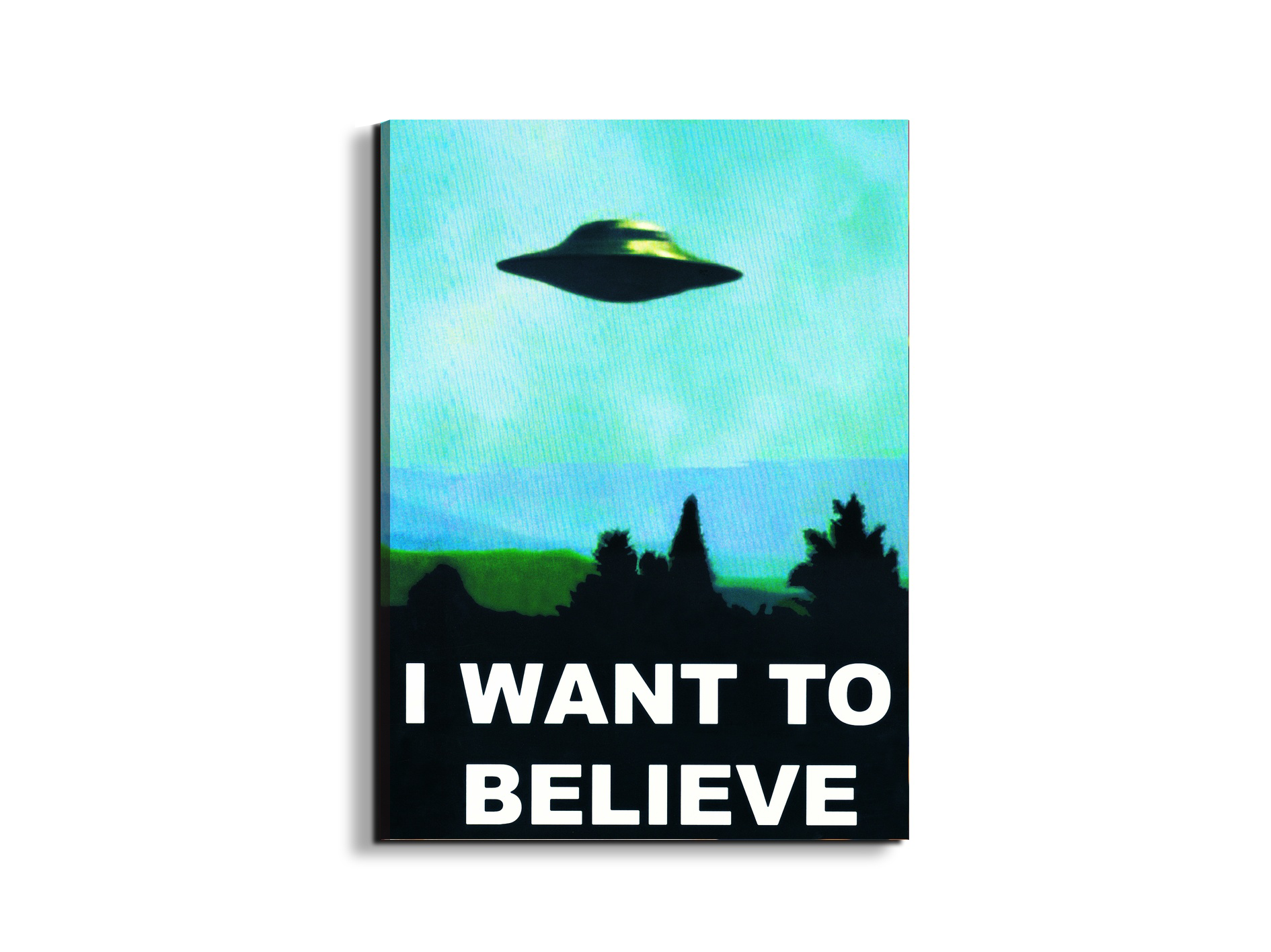 ufo-i-want-to-believeec20525-#materiale_EarthArt/dimensioni_58x77,5