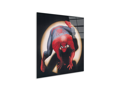 comics-spiderman-heritageec20876-