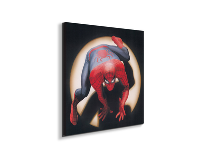 comics-spiderman-heritageec20876-