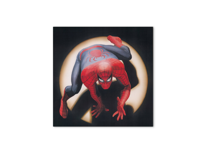 comics-spiderman-heritageec20876-
