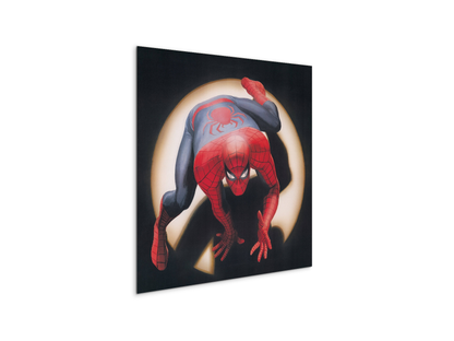 comics-spiderman-heritageec20876-