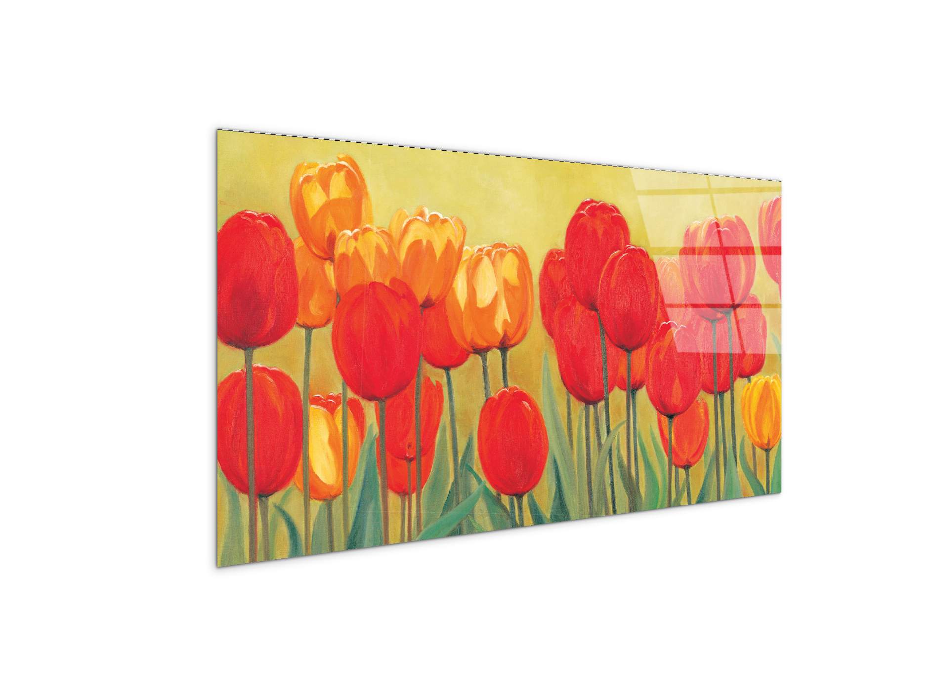 red-tulipsec20910-#materiale_CrystalArt/dimensioni_100x50