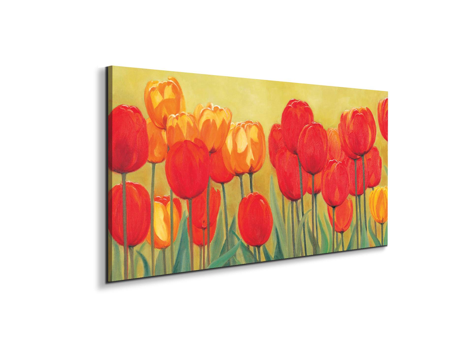 red-tulipsec20910-#materiale_EarthArt/dimensioni_100x50