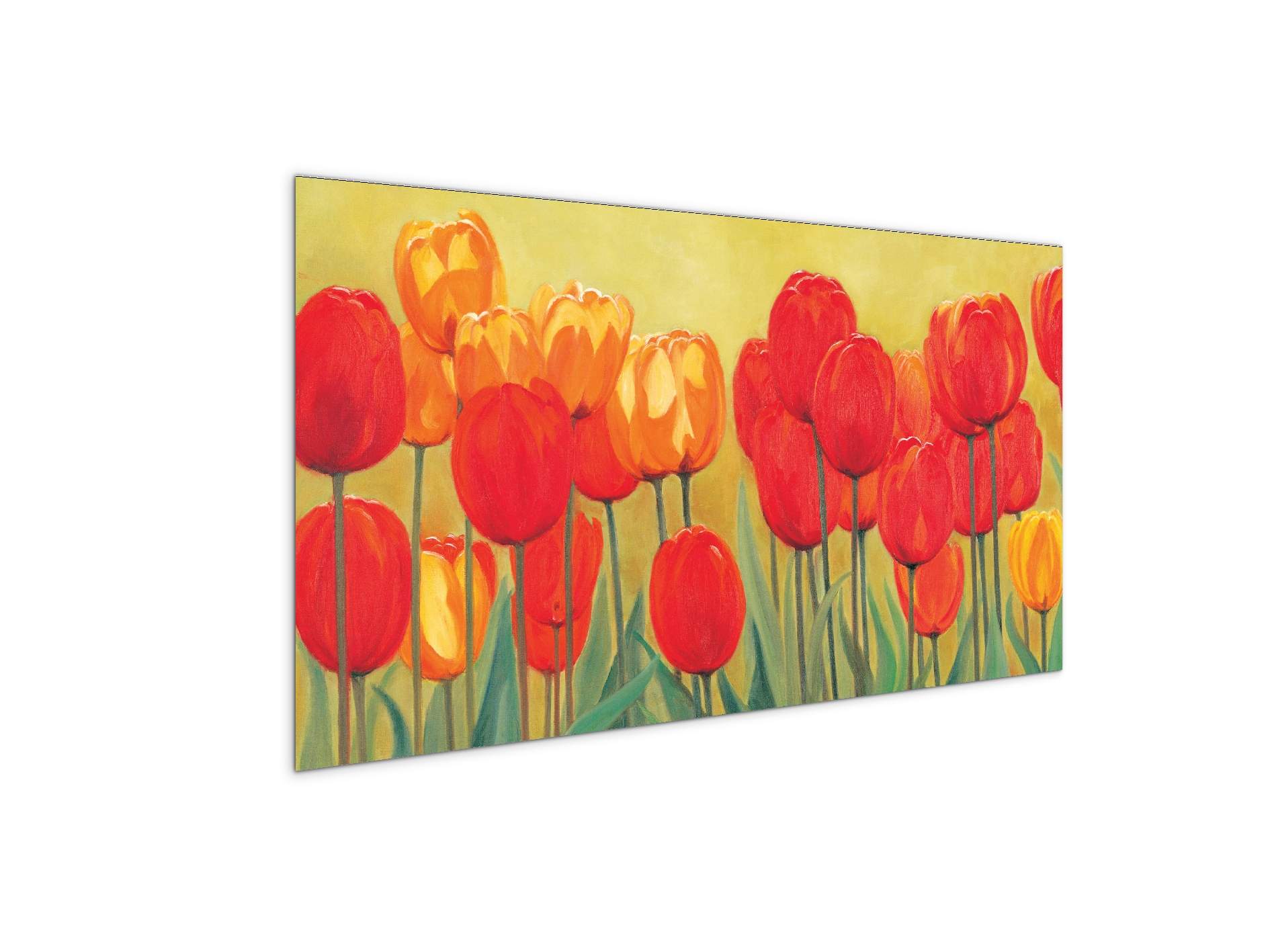 red-tulipsec20910-#materiale_MetalArt Materic/dimensioni_100x50