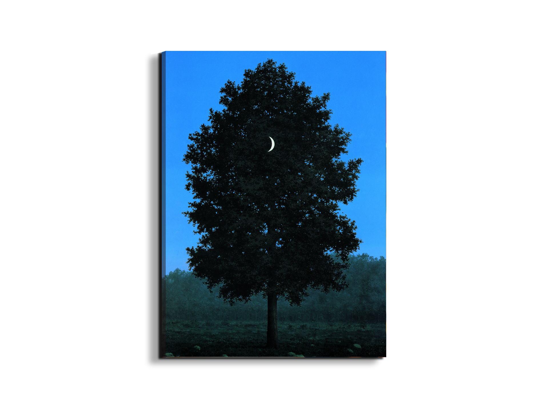 homage-to-rene-le-seize-septembreec21205-#materiale_EarthArt/dimensioni_58x77,5